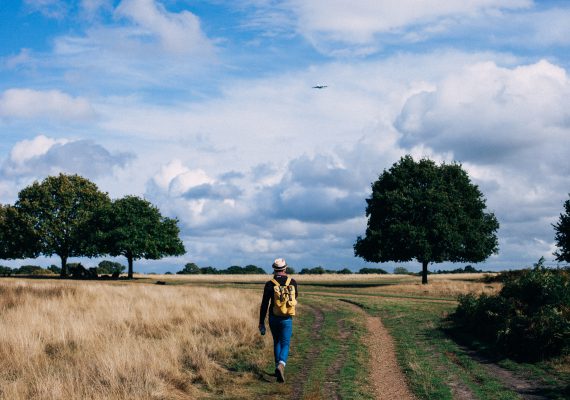 Wandelen