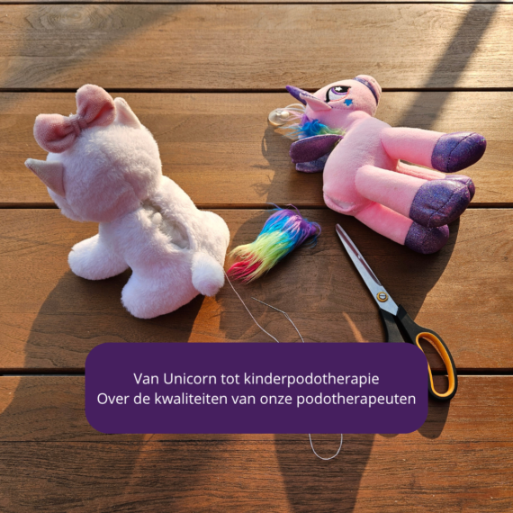 Van Unicorn tot kinderpodotherapie Over de kwaliteiten van onze podotherapeuten